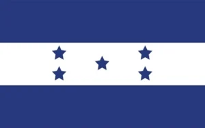online paid survey Honduras