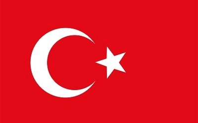 how to make money in turkey