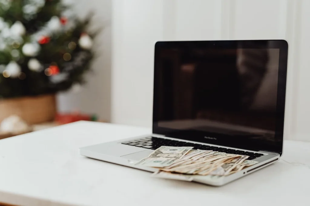 website earning check process