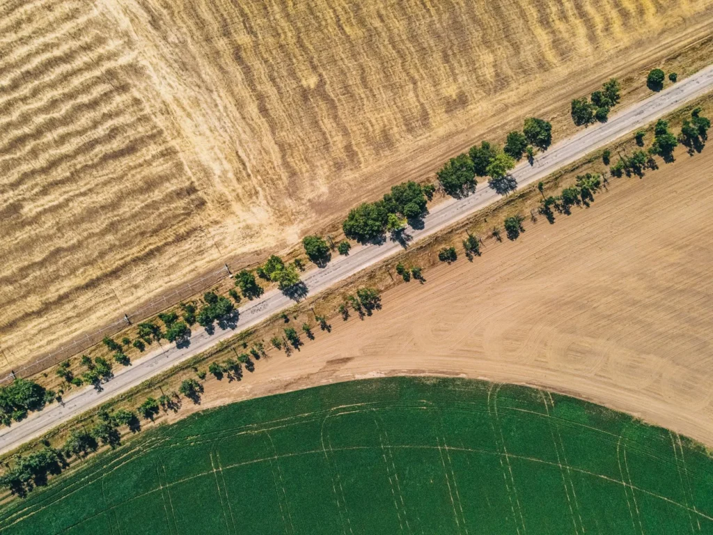 Boundary Surveys Example