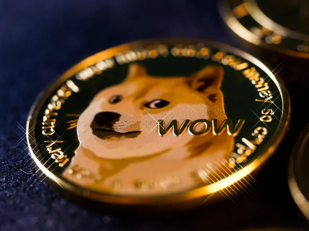 duge coin