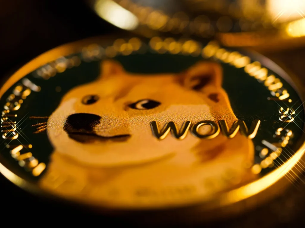 duge coin